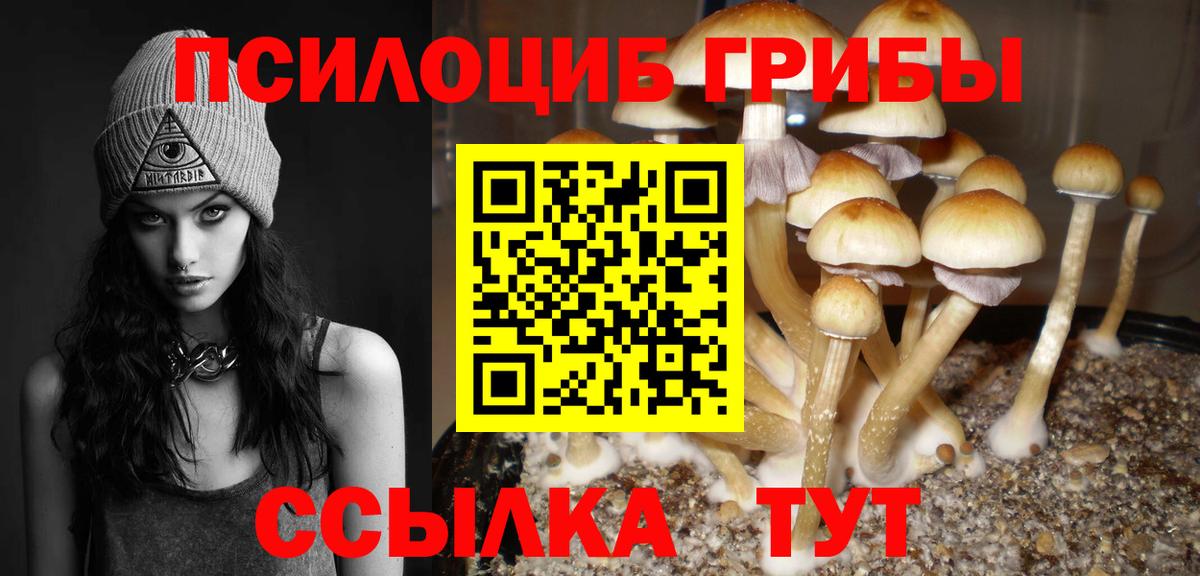 Галлюциногенные грибы прущие грибы Балтийск